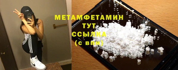 индика Новодвинск