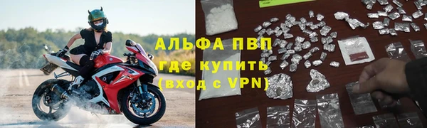индика Новодвинск
