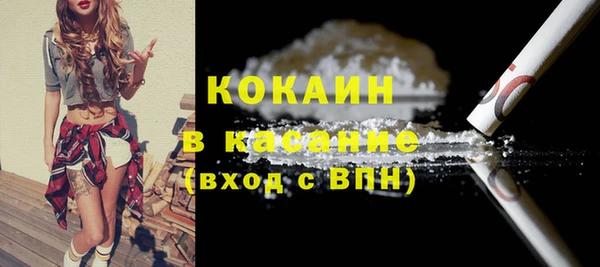 индика Новодвинск
