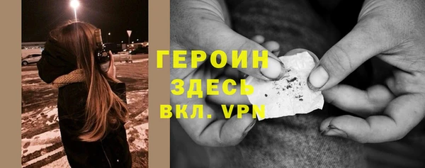 индика Новодвинск