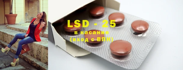 индика Новодвинск