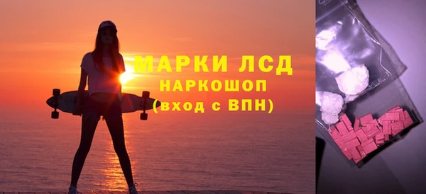 индика Новодвинск