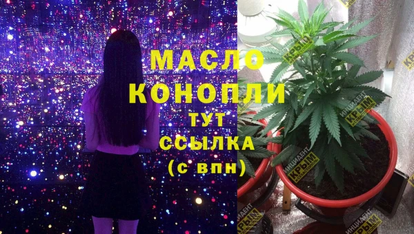 индика Новодвинск