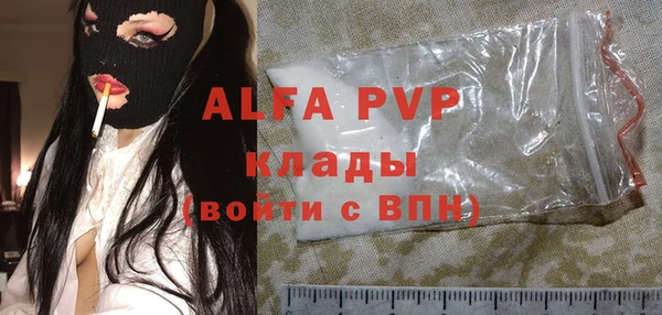 индика Новодвинск