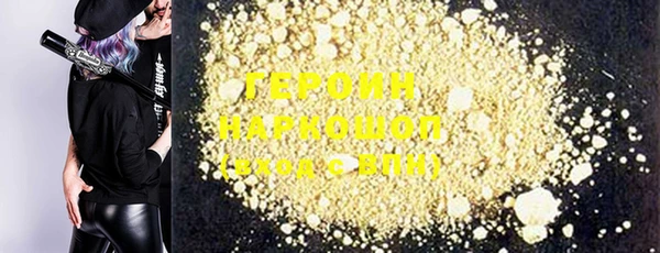 индика Новодвинск