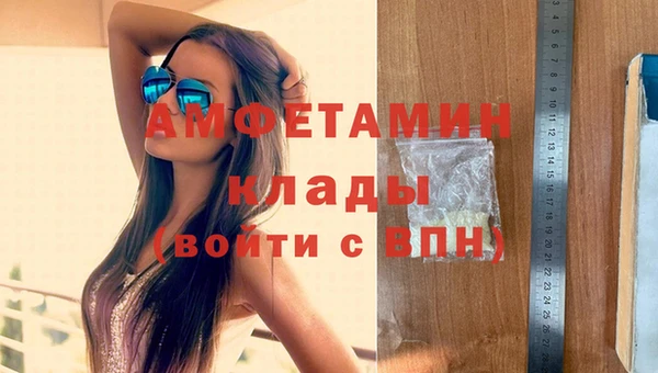 индика Новодвинск