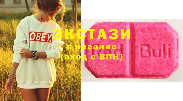 индика Новодвинск