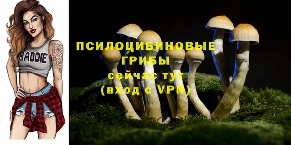 дистиллят марихуана Новозыбков