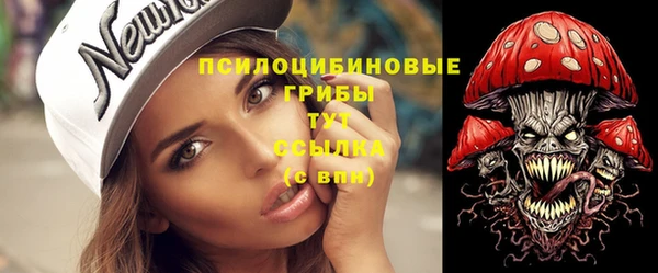индика Абаза
