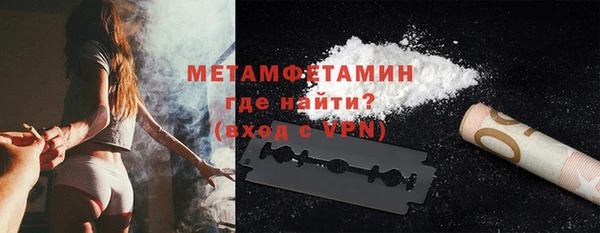 индика Новодвинск
