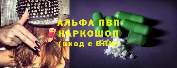 индика Новодвинск