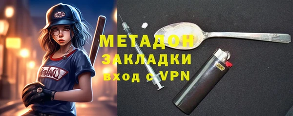индика Новодвинск