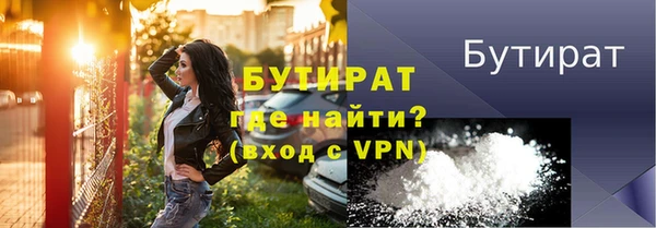 индика Новодвинск