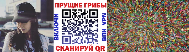 дарнет шоп Алдан Галлюциногенные грибы Psilocybine cubensis